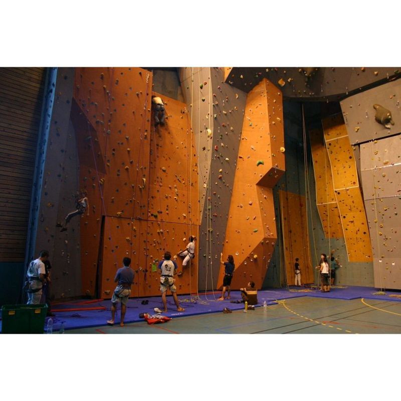 ROPED CLIMBING MATS 5CM THICKNESS - DIMASPORT ROPED CLIMBING MATS 5CM THICKNESS - DIMASPORT