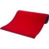 Tapis de lutte/judo college reversible