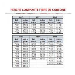 Perche pacer carbon mysticserie 4.15m