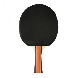 Raquette de tennis de table sport 300 loisir cornilleau