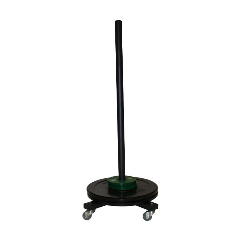SUPPORT DE RANGEMENT DE DISQUE DE MUSCULATION SUR ROULETTE -DIMASPORT SUPPORT DE RANGEMENT DE DISQUE DE MUSCULATION SUR ROULETTE -DIMASPORT