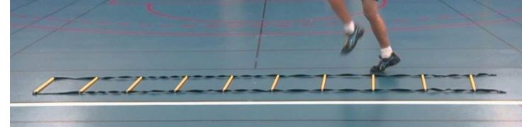ATHLETIC FLOOR MARKERS AND SPEED LADDER - DIMASPORT