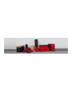 PARKOUR ET FREERUNNING