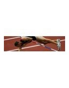 SAUT A LA PERCHE